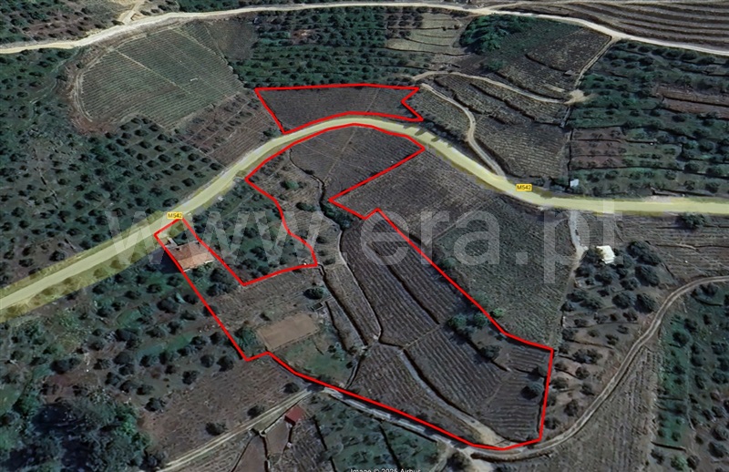 Moradia Isolada T4 Lamego, Figueira - 1452521 - 18