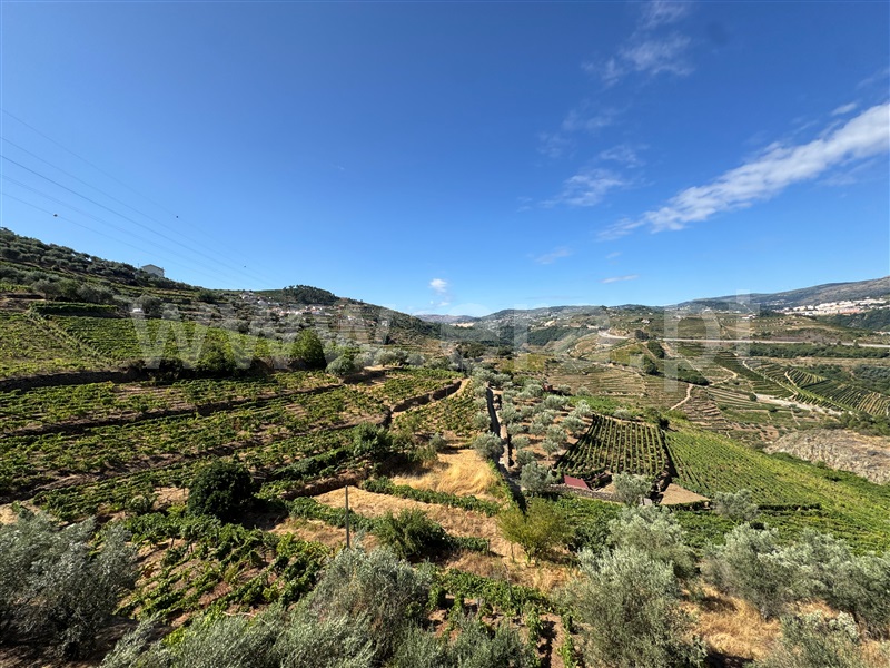 Moradia T4 à venda em Figueira, Lamego — foto 16