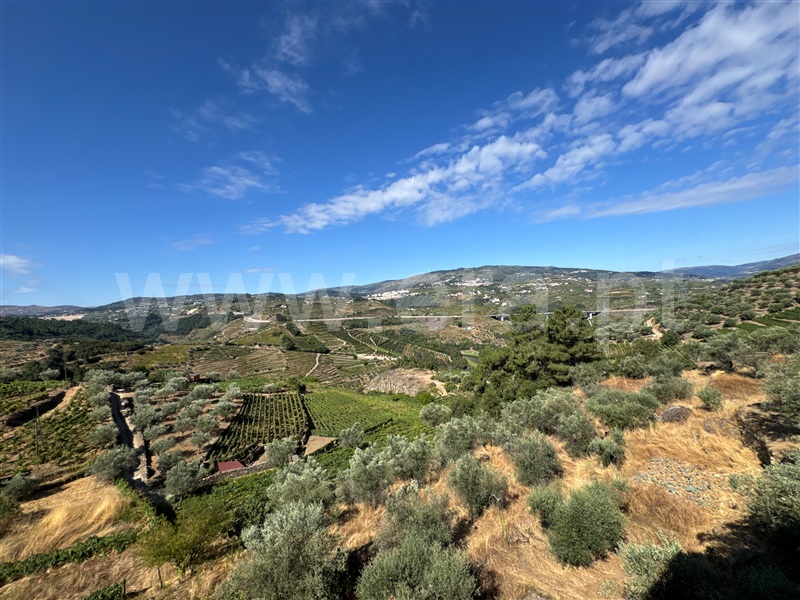 Moradia T4 à venda em Figueira, Lamego — foto 18