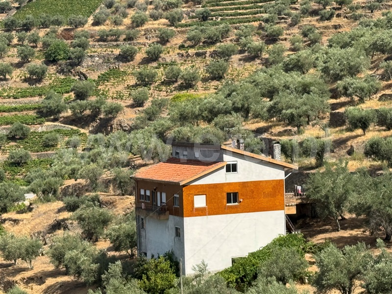 Moradia T4 à venda em Figueira, Lamego — foto 17