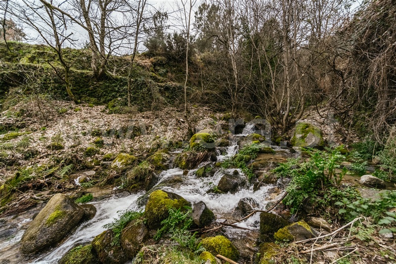 Moradia Isolada T7 com Terreno Manteigas, Serra da Estrela - 1461457 - 74