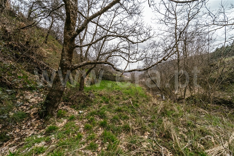 Moradia Isolada T7 com Terreno Manteigas, Serra da Estrela - 1461457 - 78