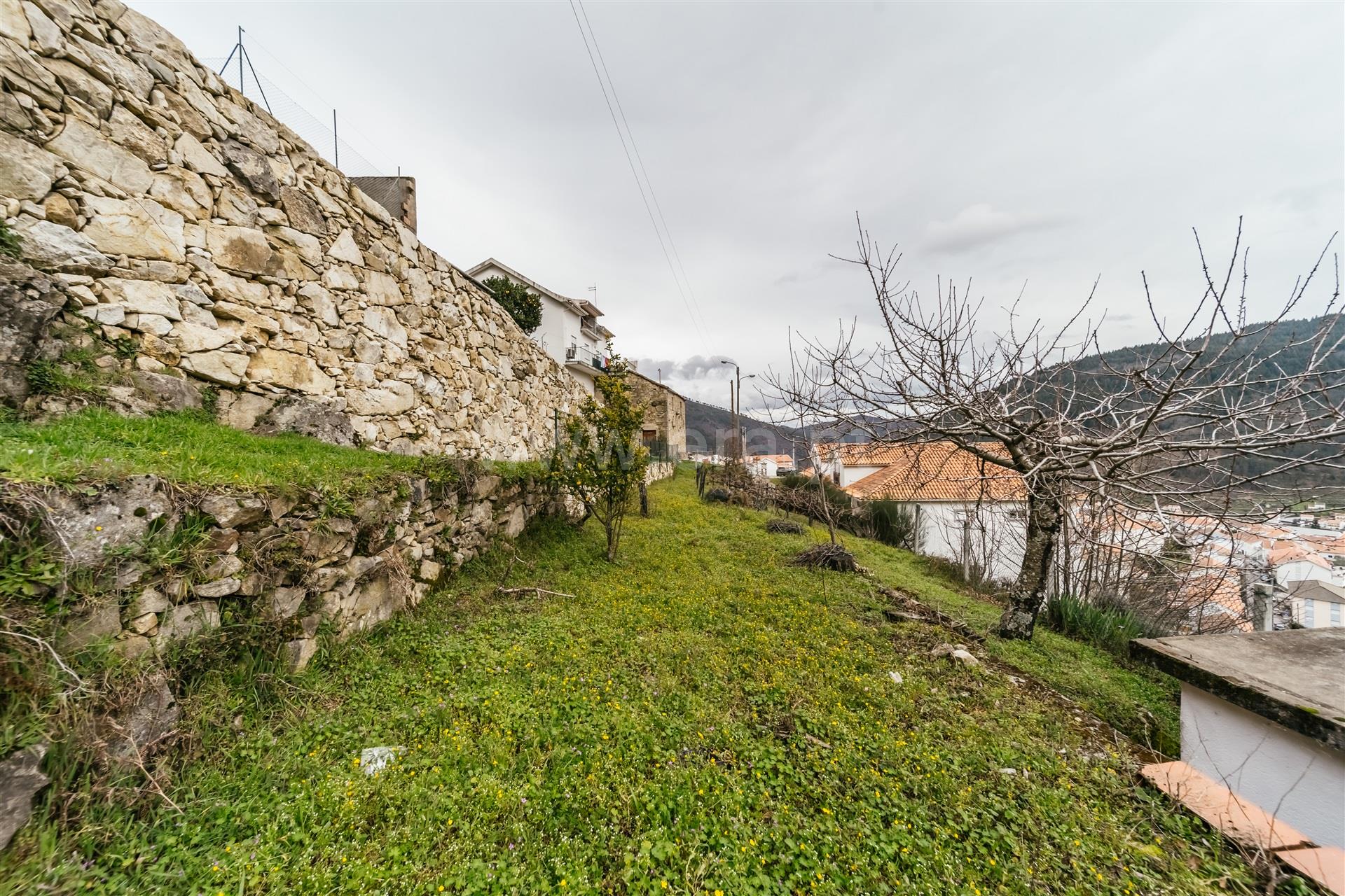 Terreno