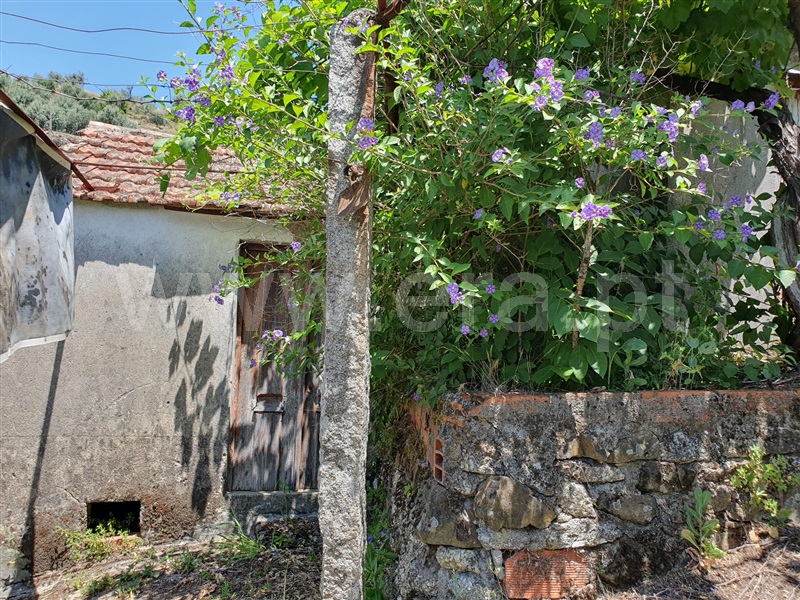 Moradia Isolada T4 com Terreno Oliveira do Hospital, São Gião - 1312984 - 17