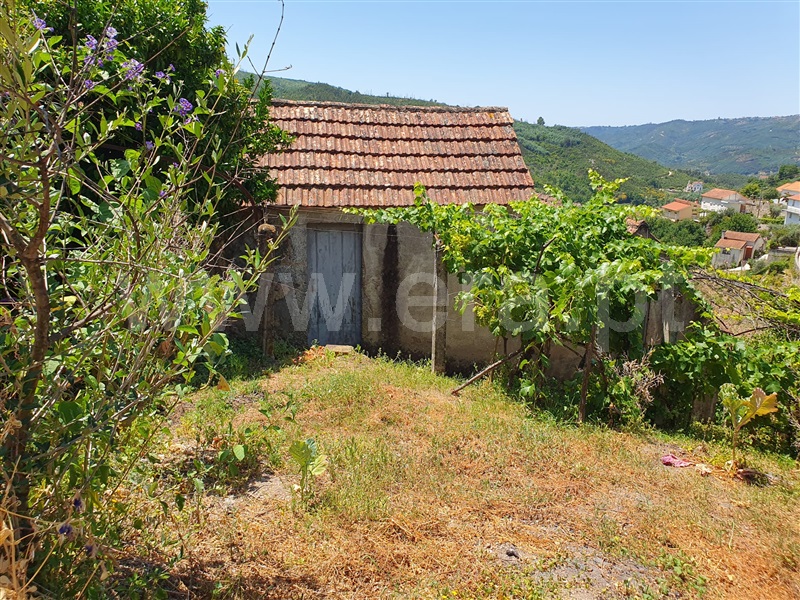 Moradia Isolada T4 com Terreno Oliveira do Hospital, São Gião - 1312984 - 24