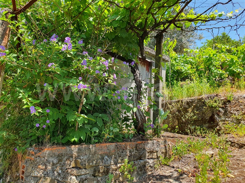 Moradia Isolada T4 com Terreno Oliveira do Hospital, São Gião - 1312984 - 27