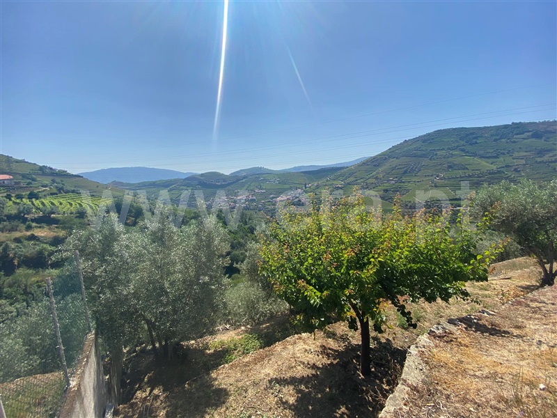 Moradia Isolada T4 Peso da Régua, Poiares e Canelas - 1329591 - 19