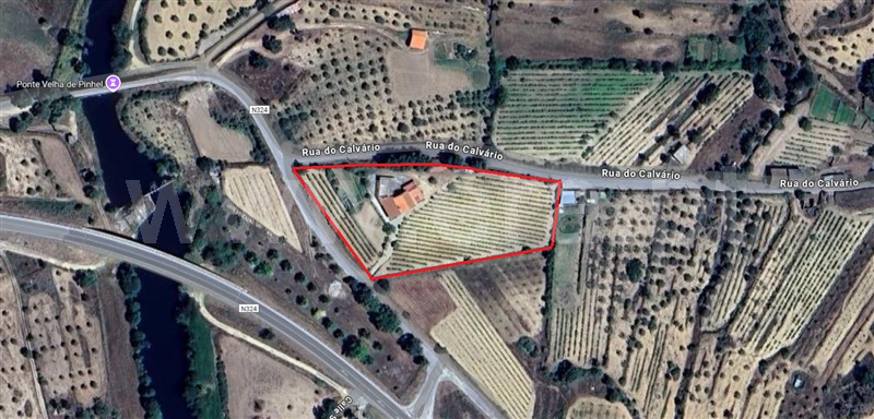 Moradia Isolada T4 / Pinhel, Pinhel