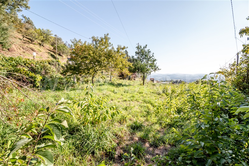 Moradia Isolada T4 Ponte de Lima, Anais - 1510615 - 21