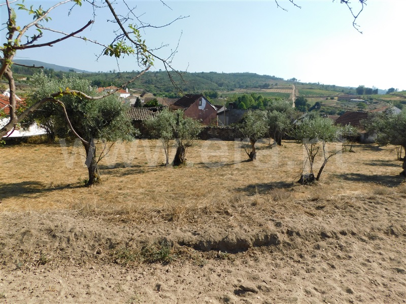 Casa Senhorial T4 Seia, Torrozelo e Folhadosa - 1277718 - 28
