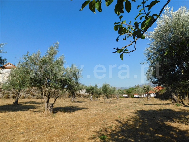 Casa Senhorial T4 Seia, Torrozelo e Folhadosa - 1277718 - 33