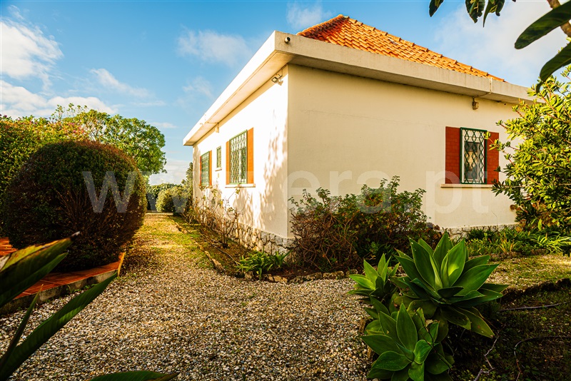 Moradia T4 à venda em Cortezia / São João das Lampas, Sintra — foto 19