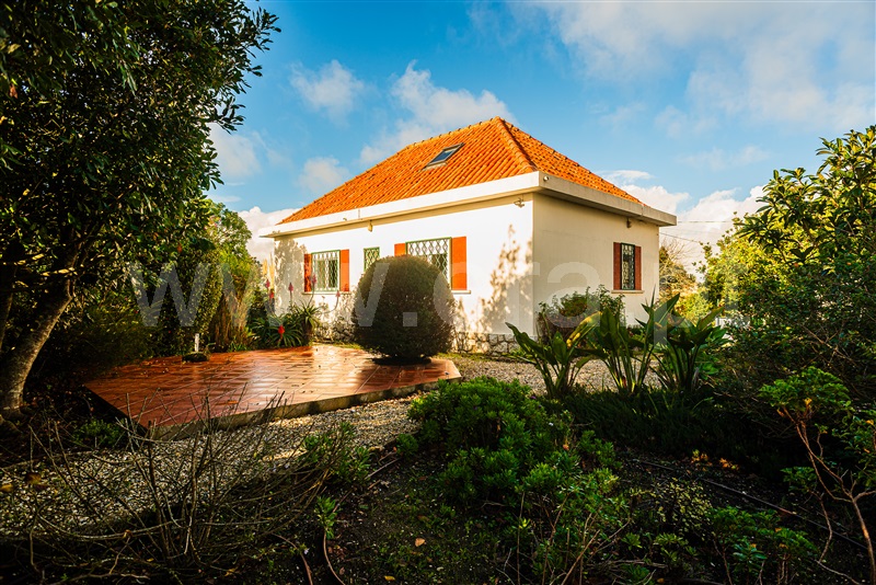 Moradia T4 à venda em Cortezia / São João das Lampas, Sintra — foto 20