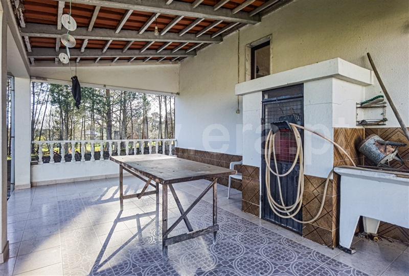 Moradia Isolada T4 com Quintal Tábua, Torre - 1389661 - 26