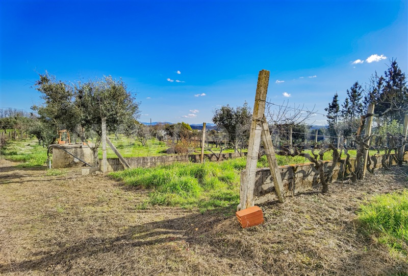 Moradia Isolada T4 com Quintal Tábua, Torre - 1389661 - 28