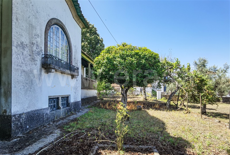 Moradia Isolada T4 Tábua, Vila Nova de Oliveirinha - 1333782 - 14