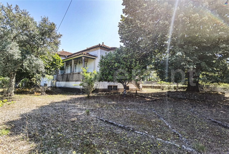 Moradia Isolada T4 Tábua, Vila Nova de Oliveirinha - 1333782 - 15