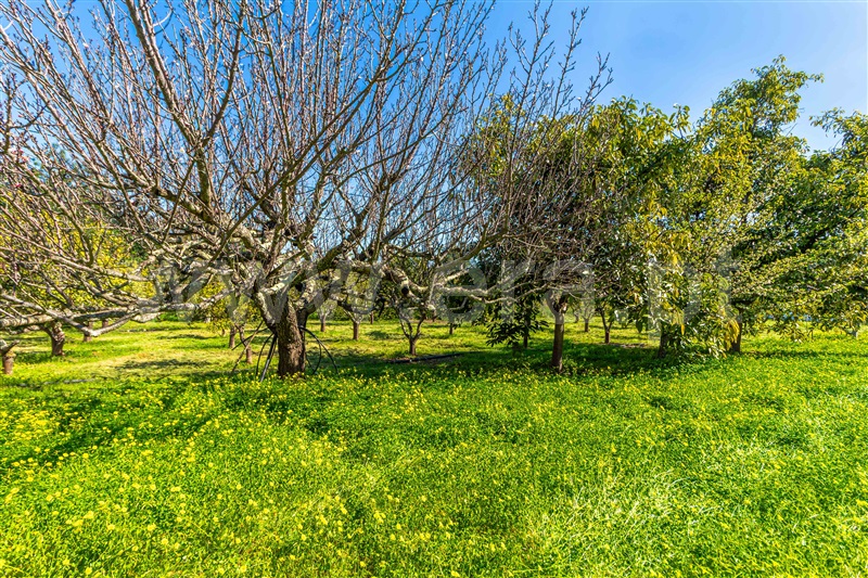 Moradia T4 à venda em Santo Estêvão, Tavira — foto 17