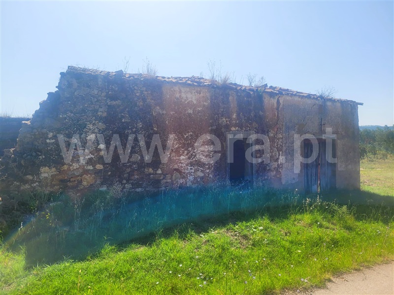 Moradia Isolada T4 Tomar, Casais e Alviobeira - 1338611 - 15