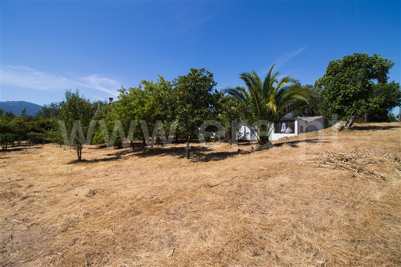 Moradia T4 à venda em Molelos, Tondela — foto 19