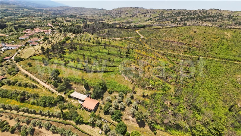 Moradia T4 à venda em Freches, Trancoso, Trancoso — foto 17