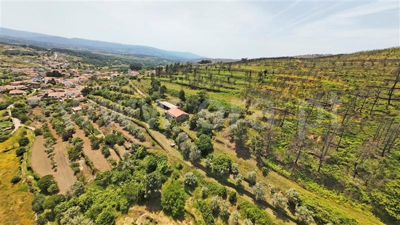 Moradia T4 à venda em Freches, Trancoso, Trancoso — foto 19