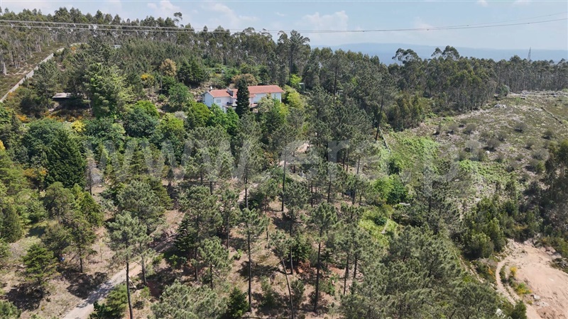 Moradia T4 à venda em Alvarelhos e Guidões, Trofa — foto 17