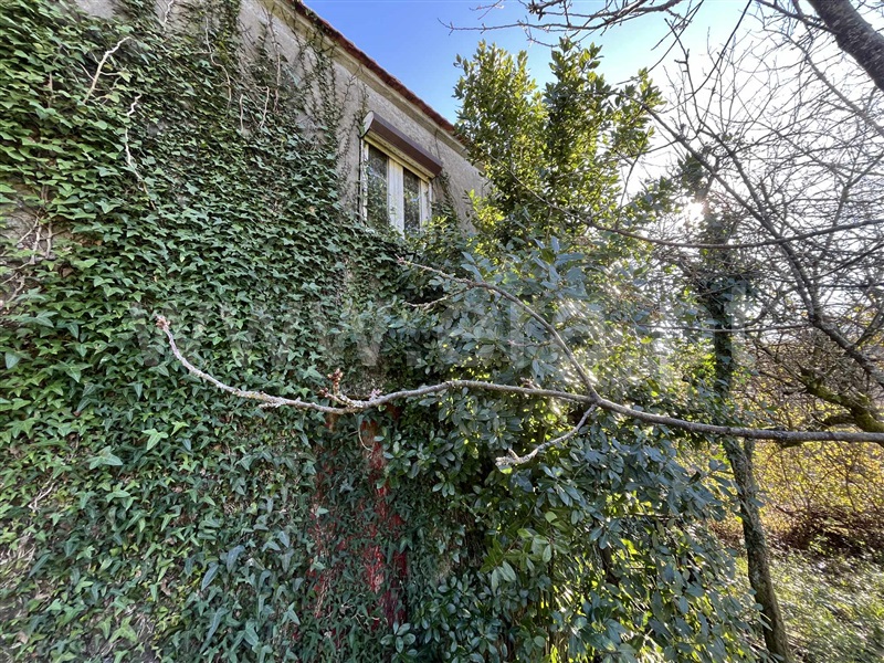 Moradia T4 à venda em Junqueira, Vale de Cambra — foto 3