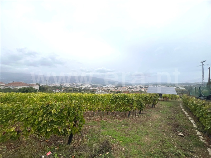 Moradia T4 à venda em Folhadela, Vila Real — foto 16