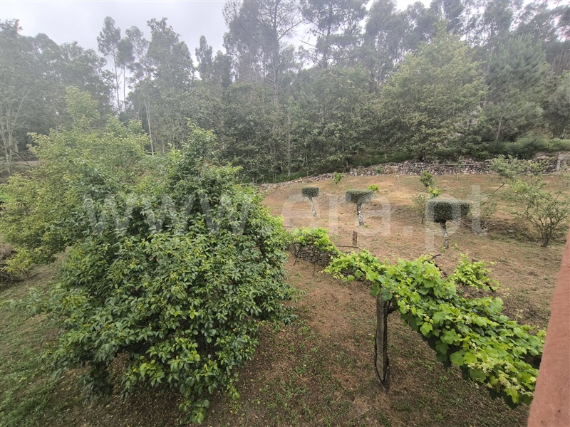 Moradia Isolada T5 Arcos de Valdevez, São Jorge e Ermelo - 1488194 - 5