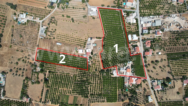 Moradia Isolada T5 / Faro, Conceição e Estoi