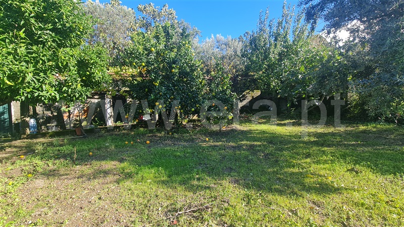 Moradia Isolada T5 Gouveia, Gouveia - 1365566 - 4