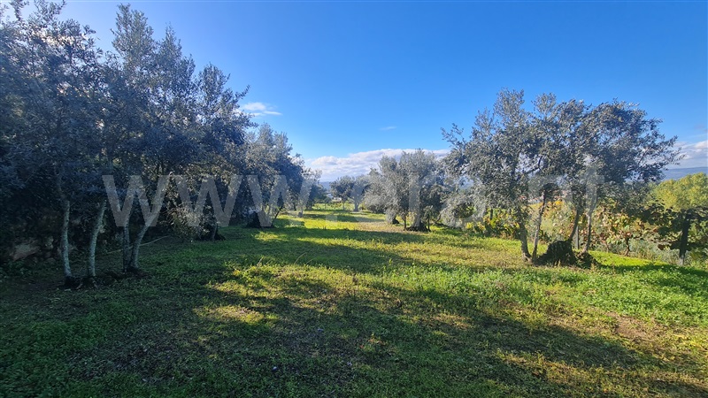 Moradia Isolada T5 Gouveia, Gouveia - 1365566 - 9