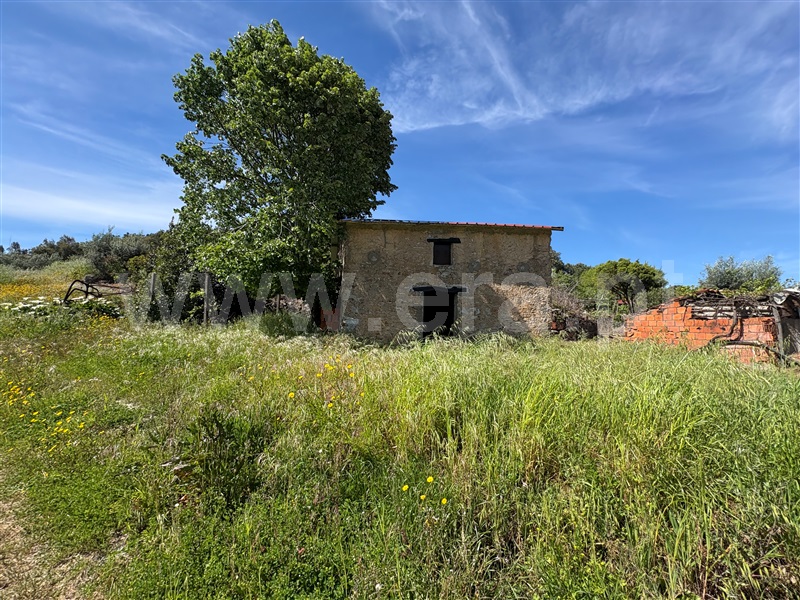 Moradia T5 à venda em Carvoeiro, Mação — foto 4