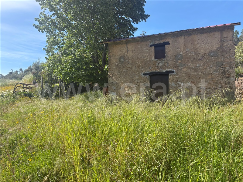 Moradia T5 à venda em Carvoeiro, Mação — foto 14