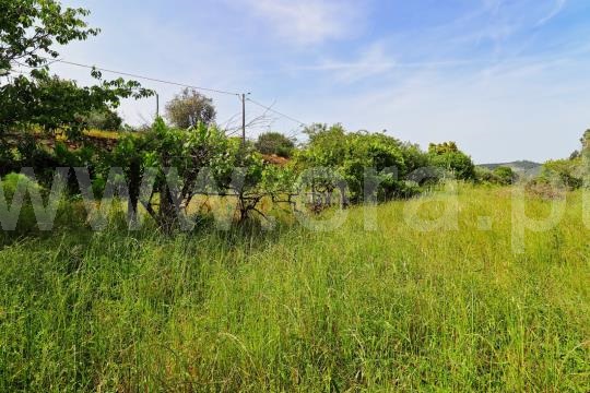 Moradia T5 à venda em Quintela de Azurara, Mangualde — foto 15