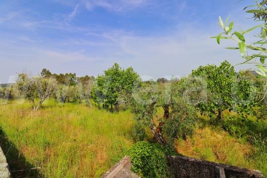 Moradia T5 à venda em Quintela de Azurara, Mangualde — foto 17