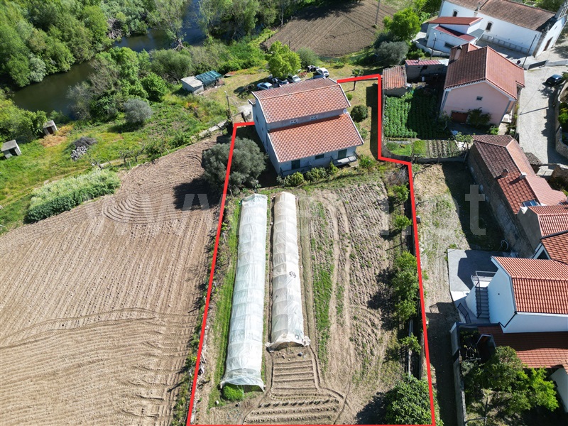 Moradia Isolada T5 / Mirandela, Carvalhais