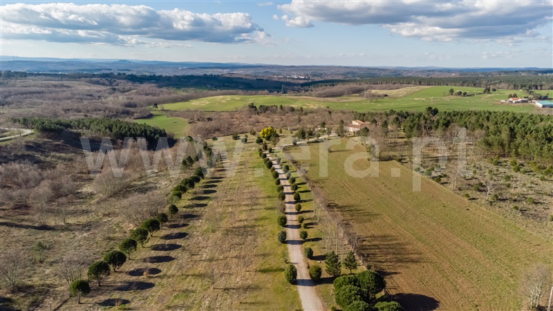 Moradia T5 à venda em Sabugal e Aldeia de Santo António, Sabugal — foto 19