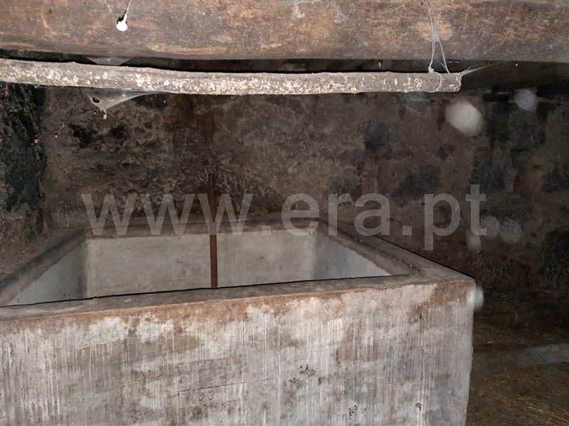 Moradia Isolada T5 Santa Comba Dão, São João de Areias - 1174880 - 14