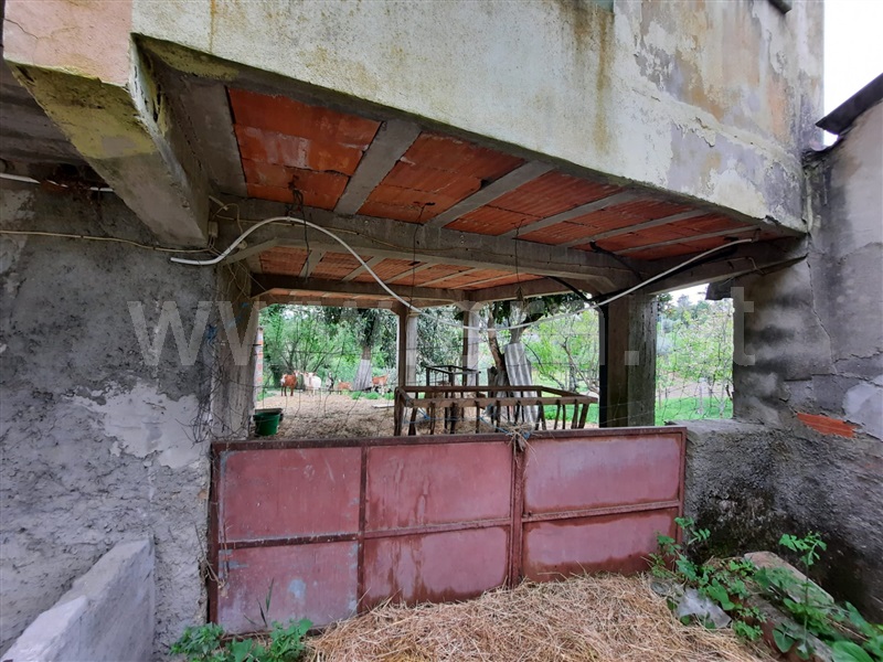 Moradia Isolada T5 Santa Comba Dão, São João de Areias - 1174880 - 15