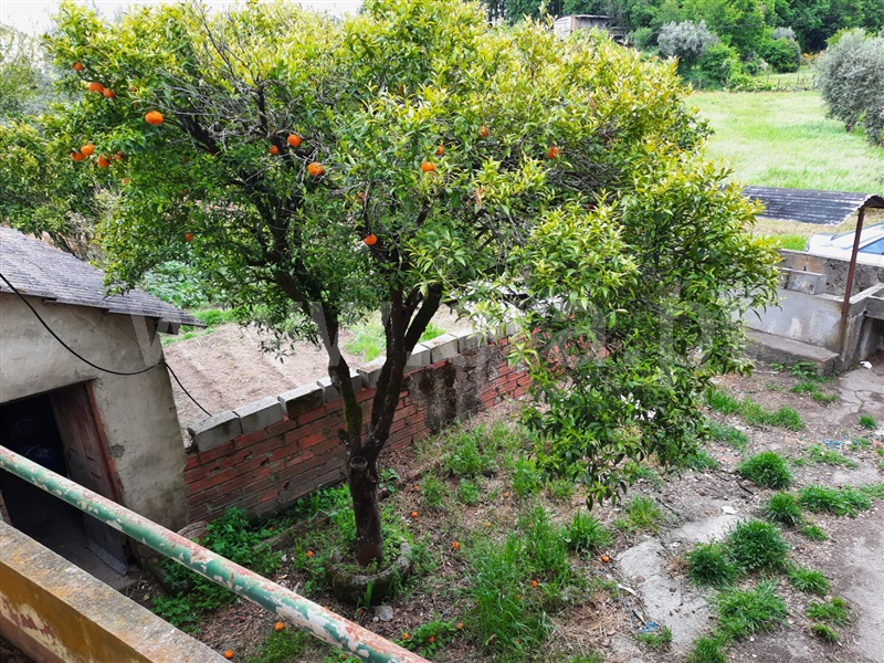 Moradia Isolada T5 Santa Comba Dão, São João de Areias - 1174880 - 19