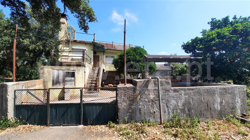 Moradia Isolada T5 / Santa Comba Dão, São João de Areias