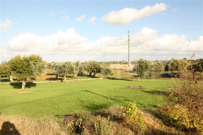 Moradia Isolada T5 Torres Novas, Pedrógão - 1498849 - 2