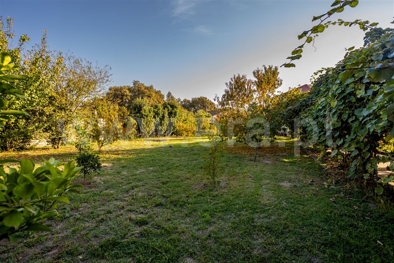 Moradia Isolada T5 Vila Nova de Famalicão, Delães - 1507881 - 20