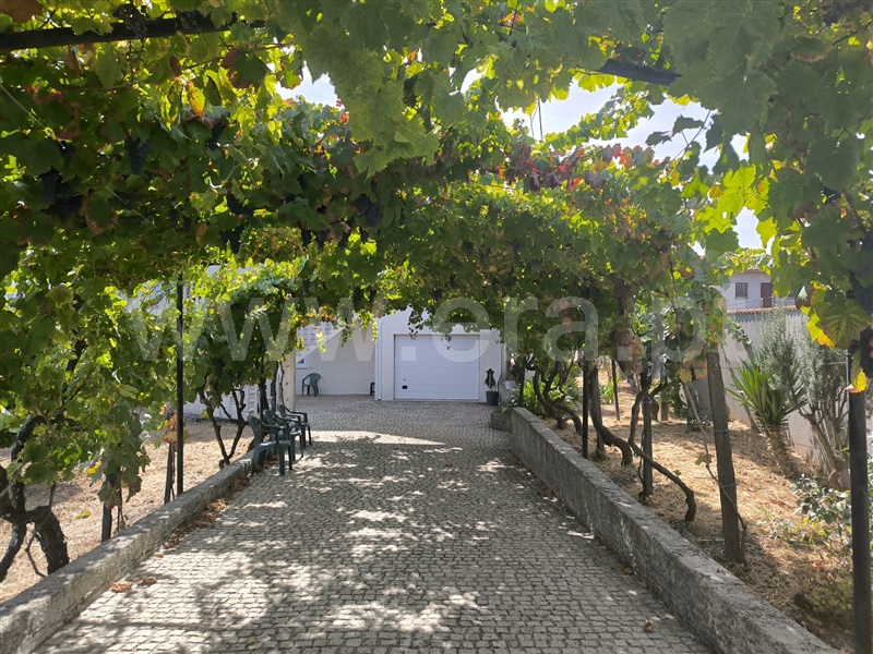Moradia Isolada T3 Vila Real, Abaças - 1439947 - 2