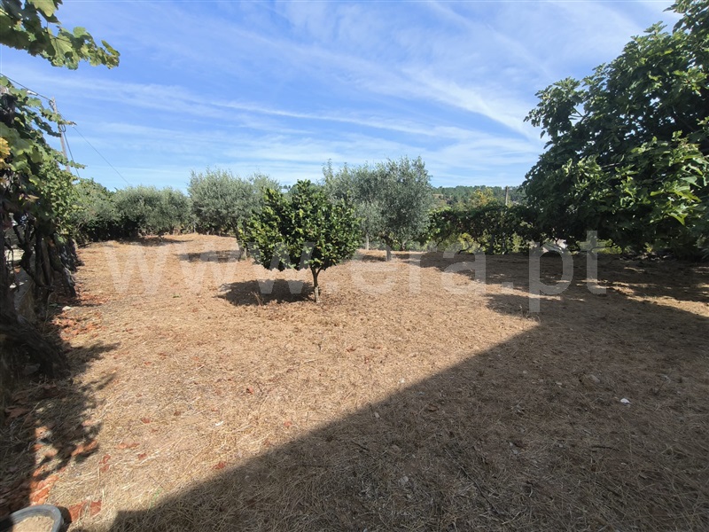 Moradia Isolada T3 Vila Real, Abaças - 1439947 - 9