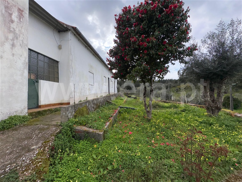Moradia Isolada T6 / Abrantes, Medroa