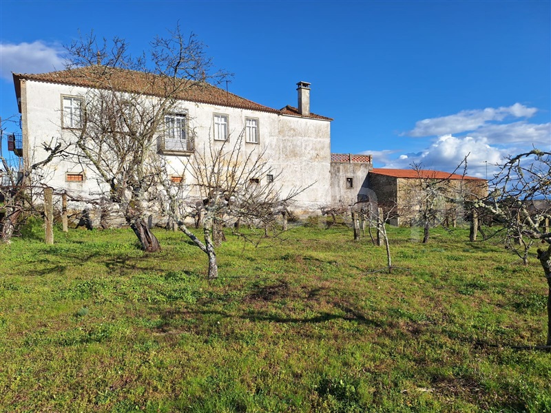 Moradia Isolada T5 Meda, Mêda - 1456850 - 4