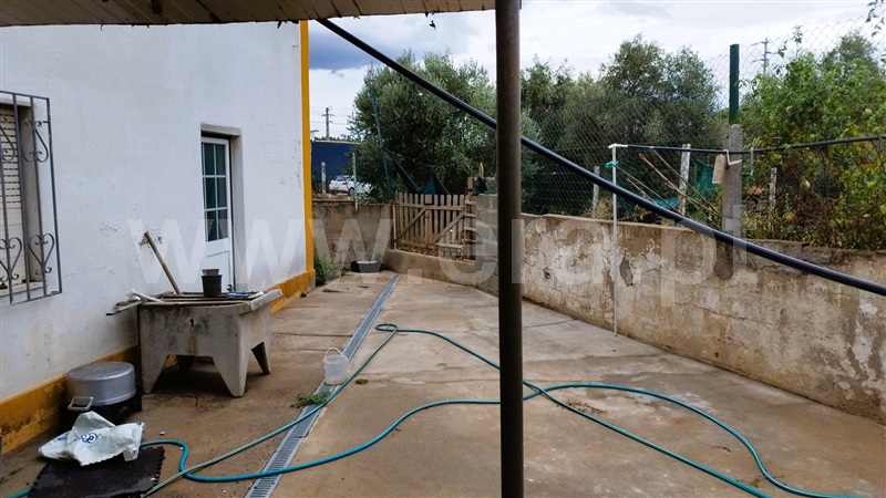 Restaurante T6 Tomar, Asseiceira - 1352772 - 6